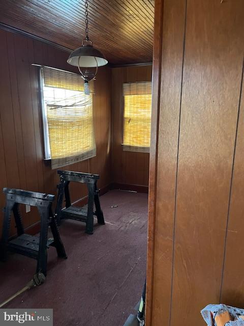 FLEISCHMAN VILLAGE - Residential