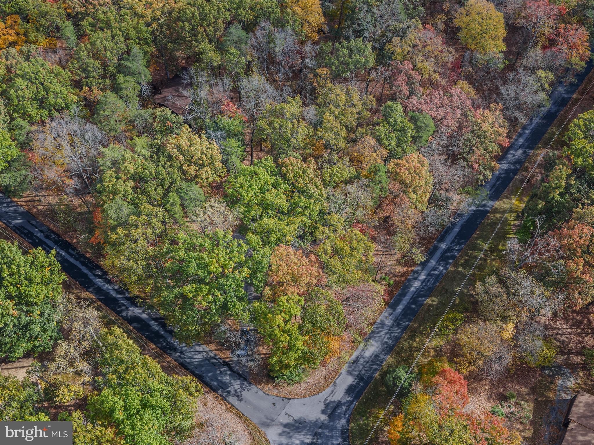 THE WOODS RESORT - Residential