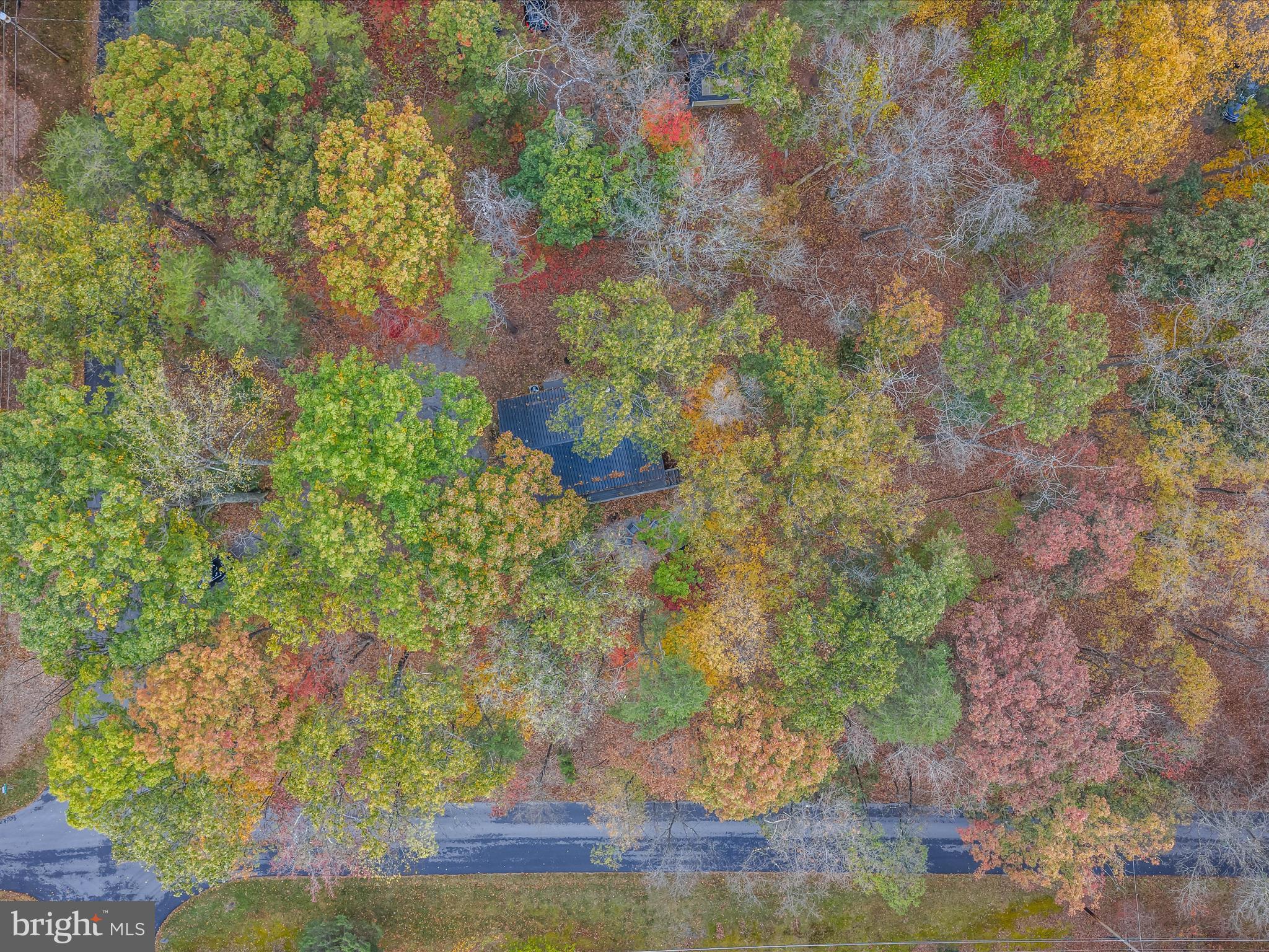 THE WOODS RESORT - Residential