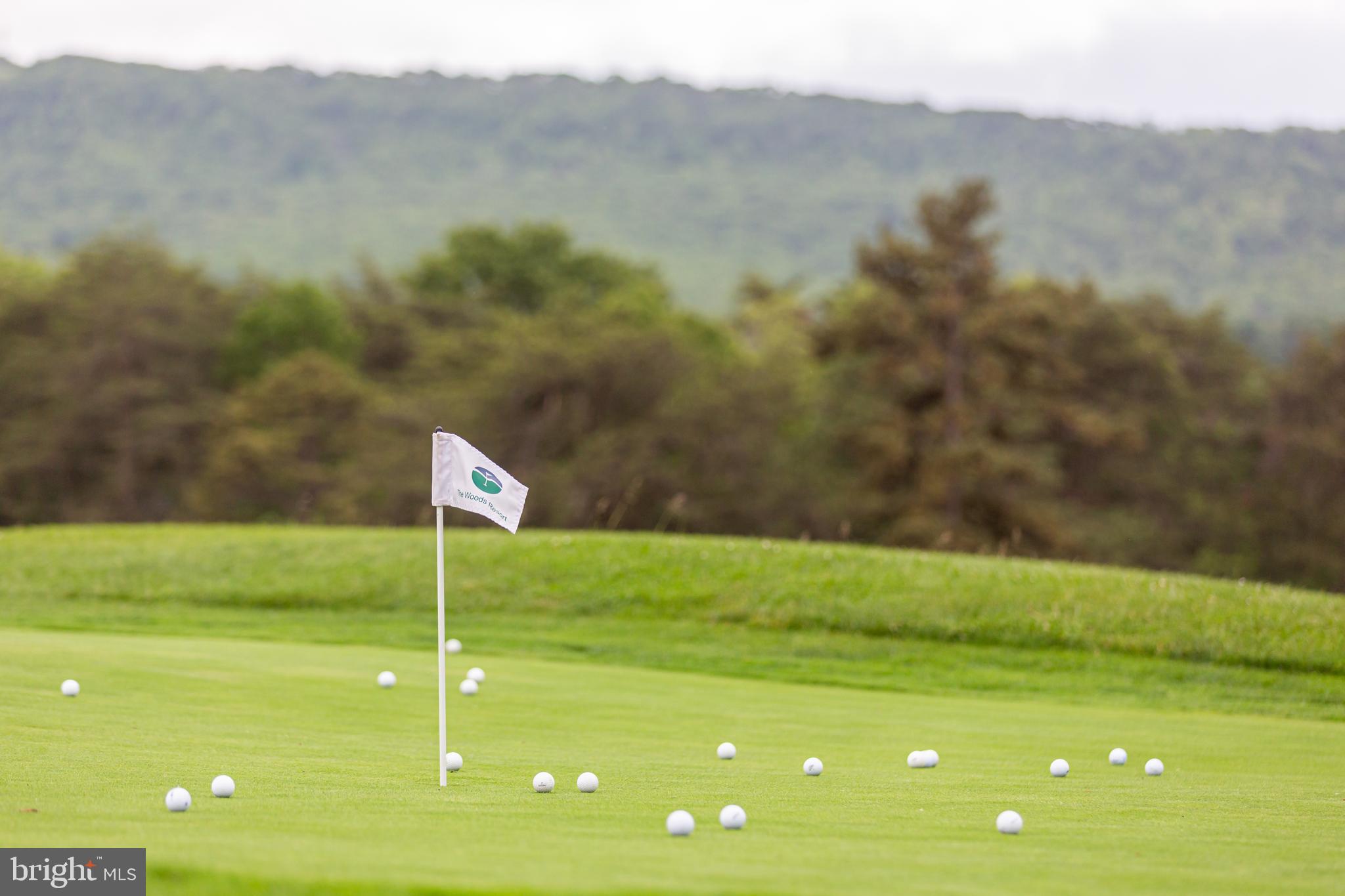 THE WOODS RESORT - Residential