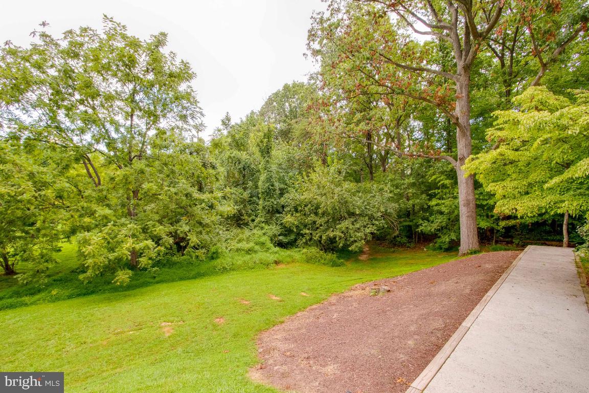 CARDINAL FOREST - Residential Lease