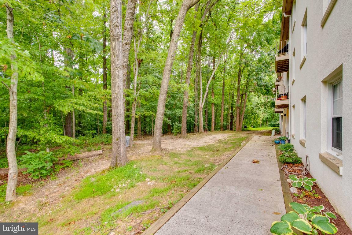 CARDINAL FOREST - Residential Lease