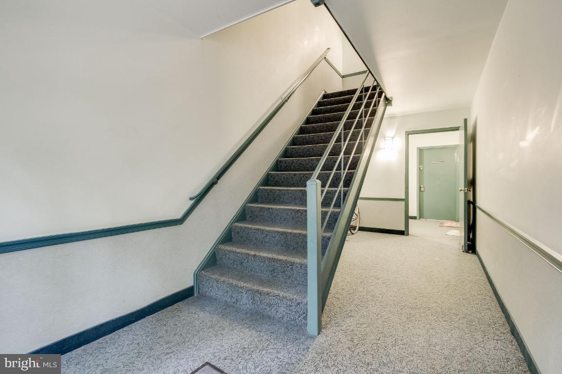 CARDINAL FOREST - Residential Lease