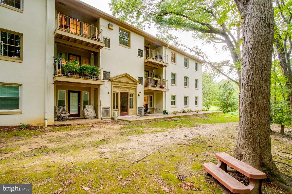 CARDINAL FOREST - Residential Lease