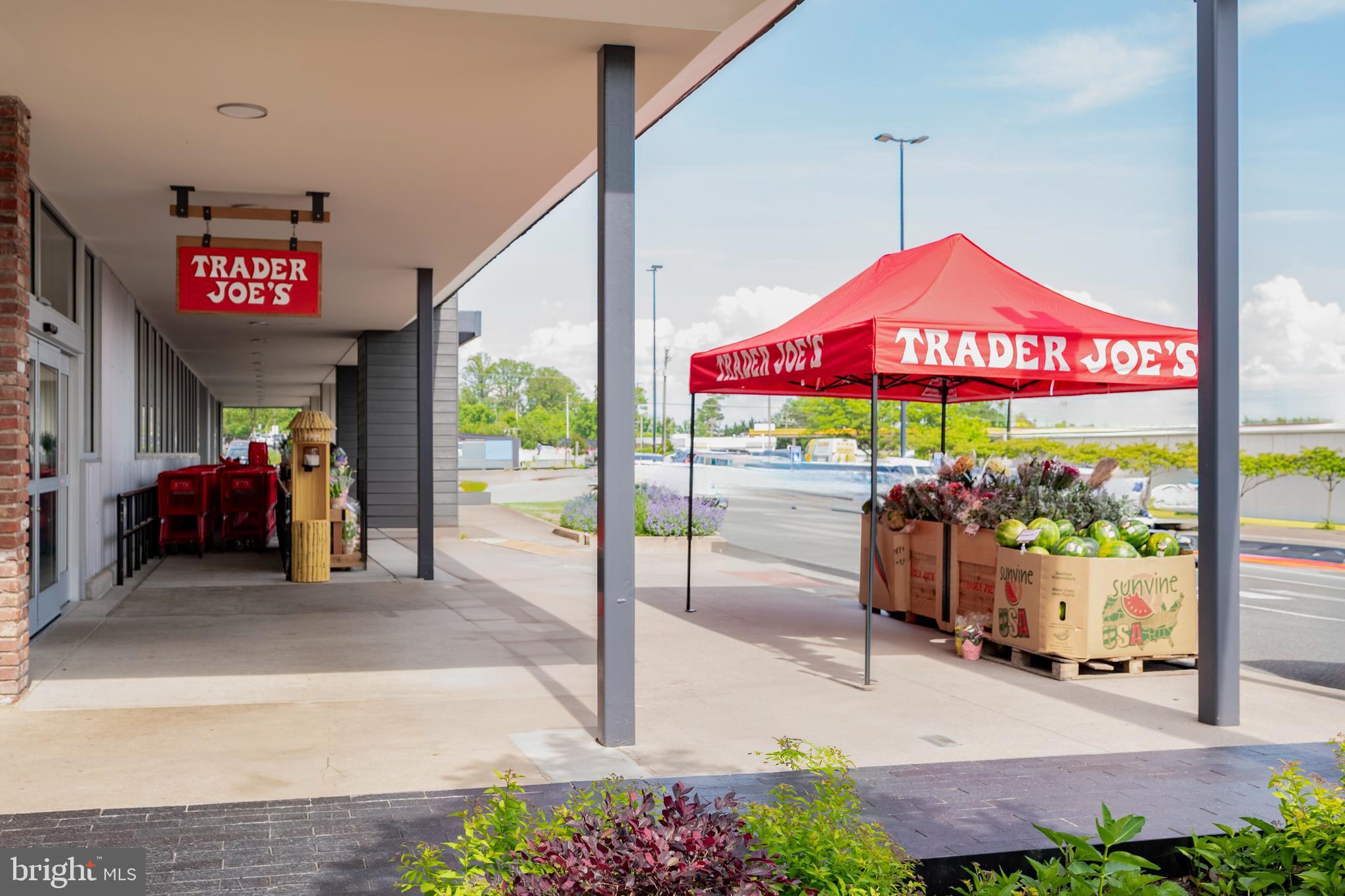 WEST SPRINGFIELD VILLAGE - Residential