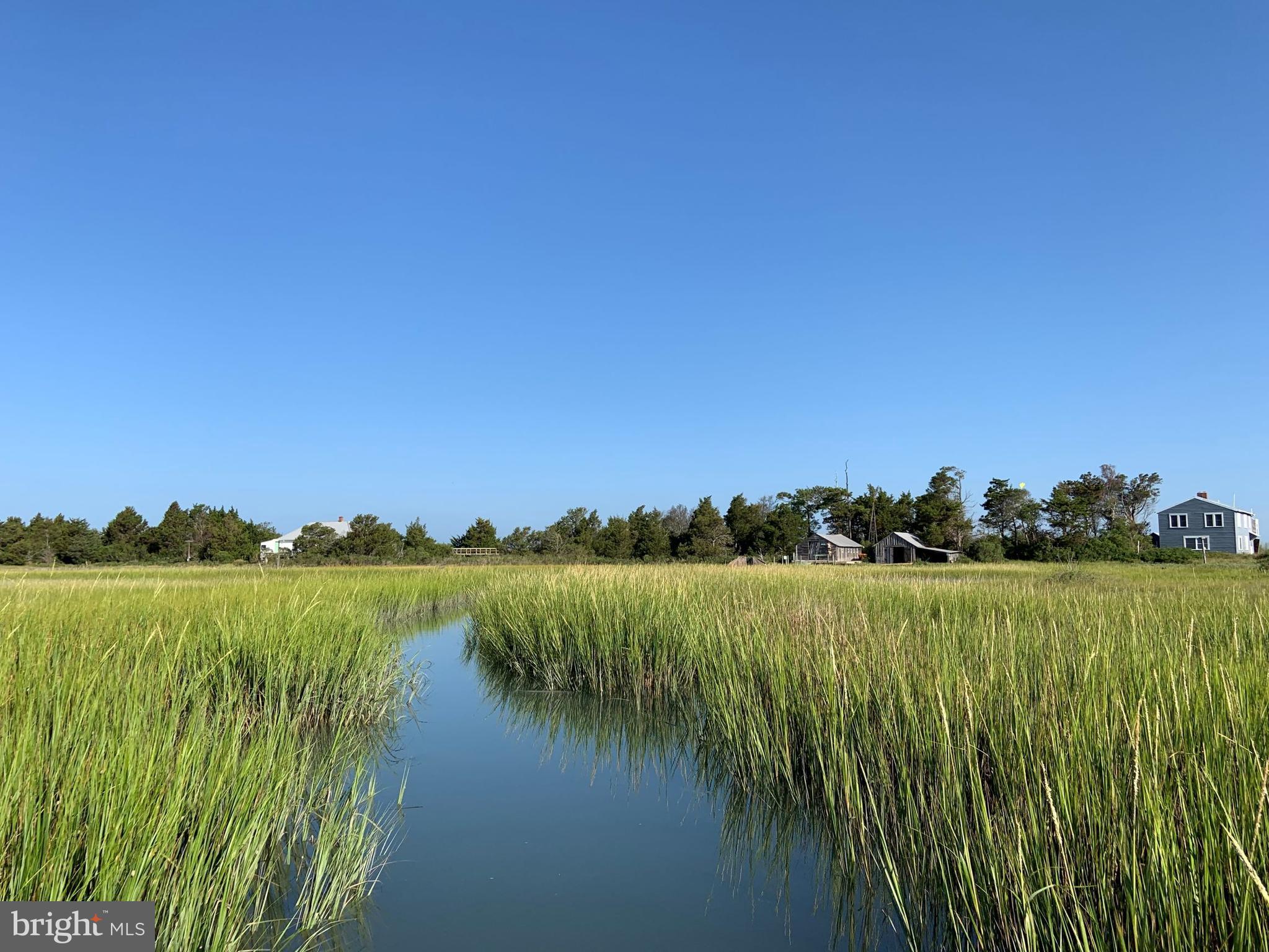 5374 RAMP LANE (TRACT HOLLY BLUFF & RACOON ISLAND)