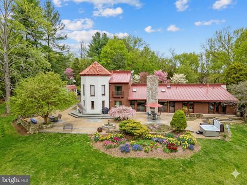 3850 COBBLER MOUNTAIN ROAD DELAPLANE VA 20144