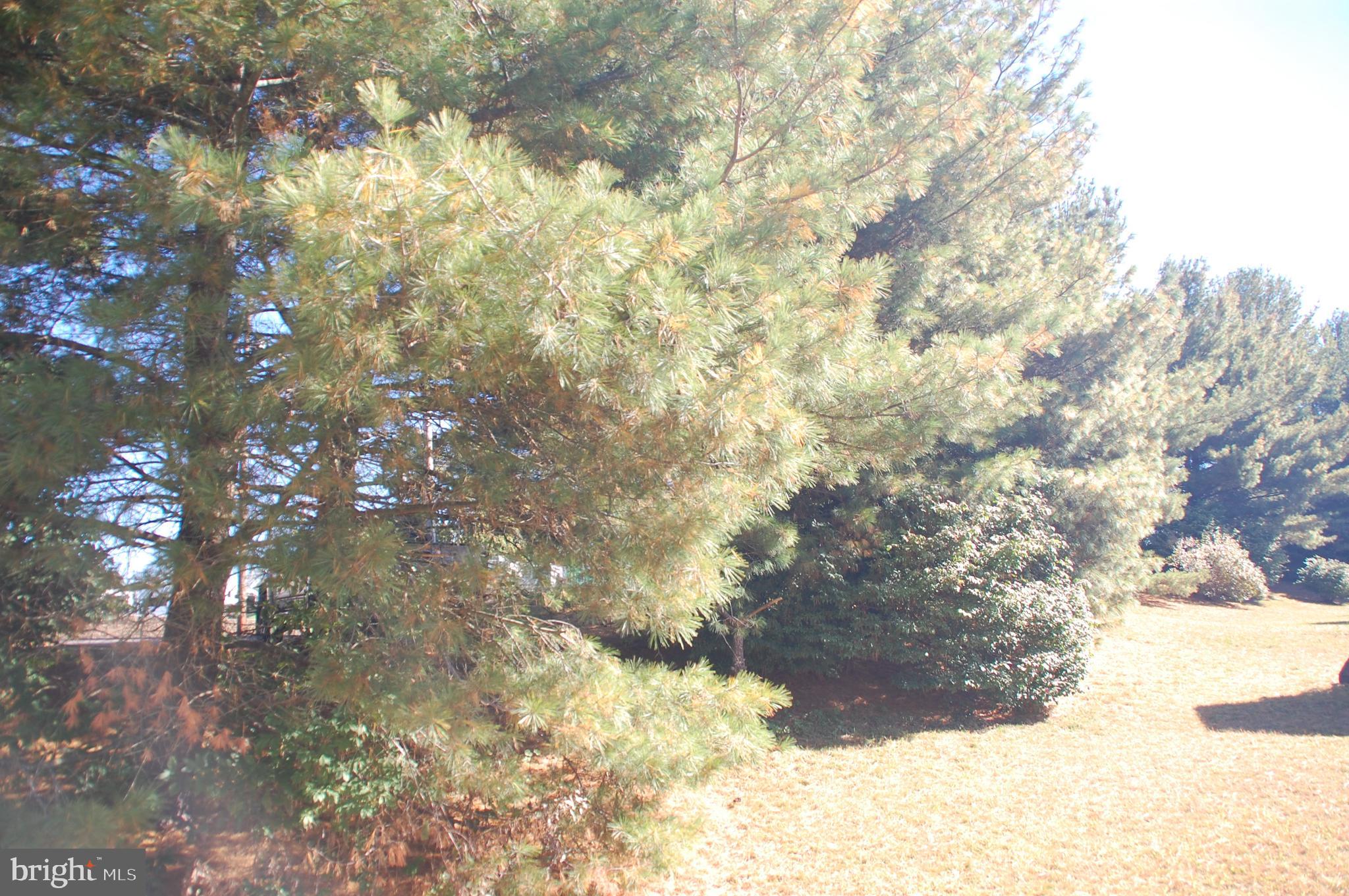 HIDDEN SPRINGS - Residential