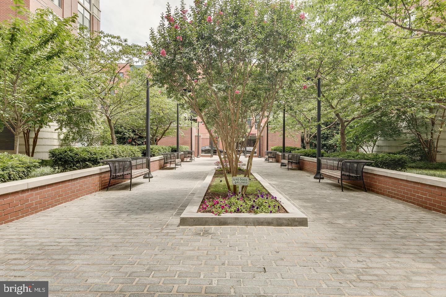 CLARENDON 1021 - Residential Lease