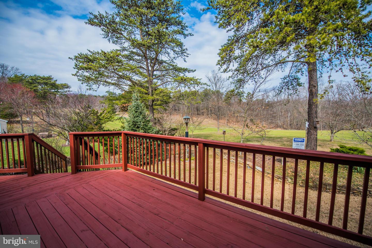 THE WOODS - Residential