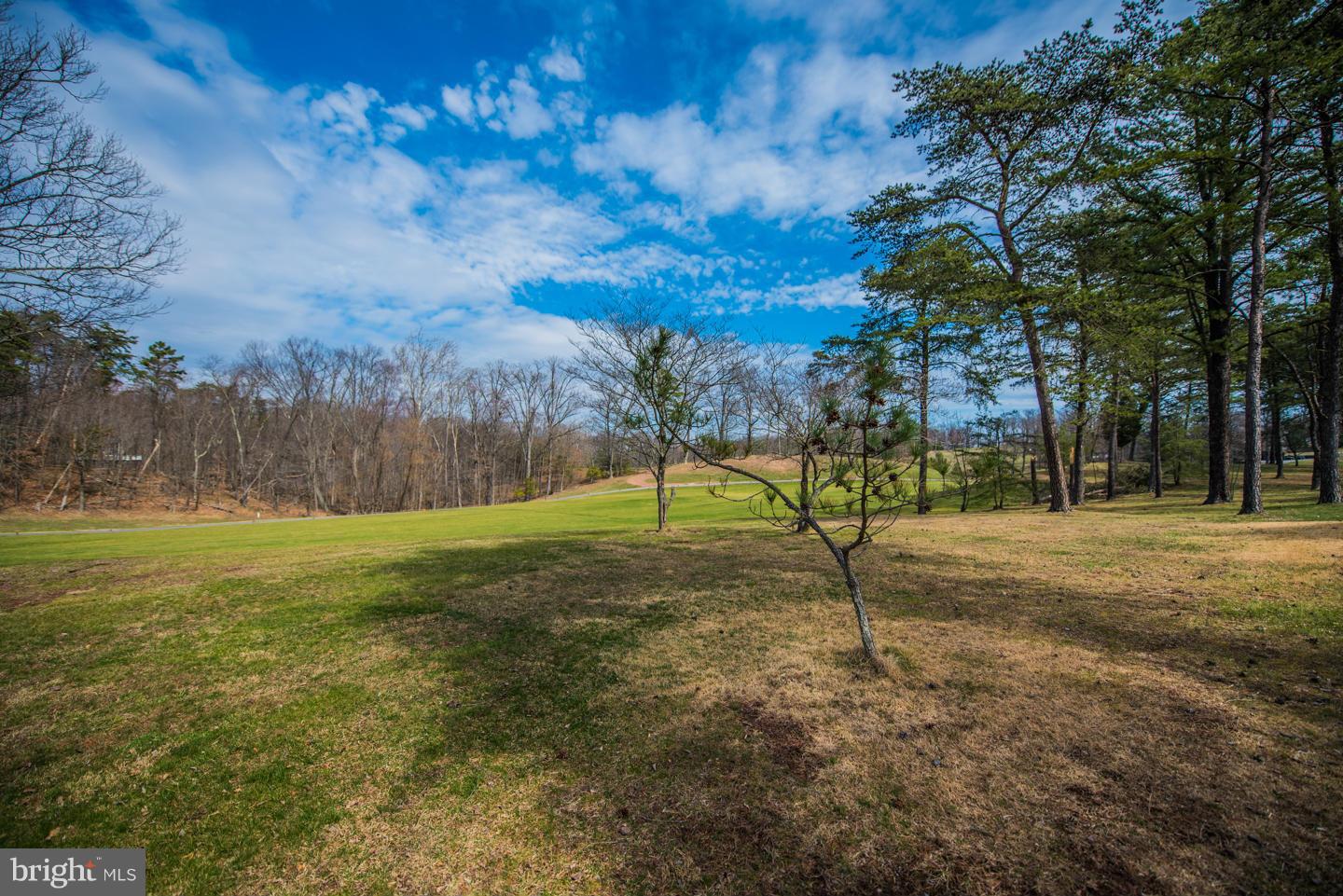 THE WOODS - Residential