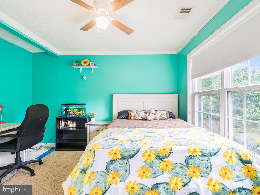 LAKE CAROLINE - Residential