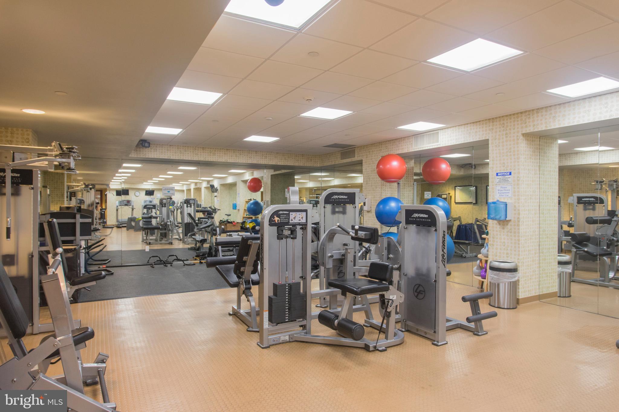 ART MUSEUM AREA - Residential Lease