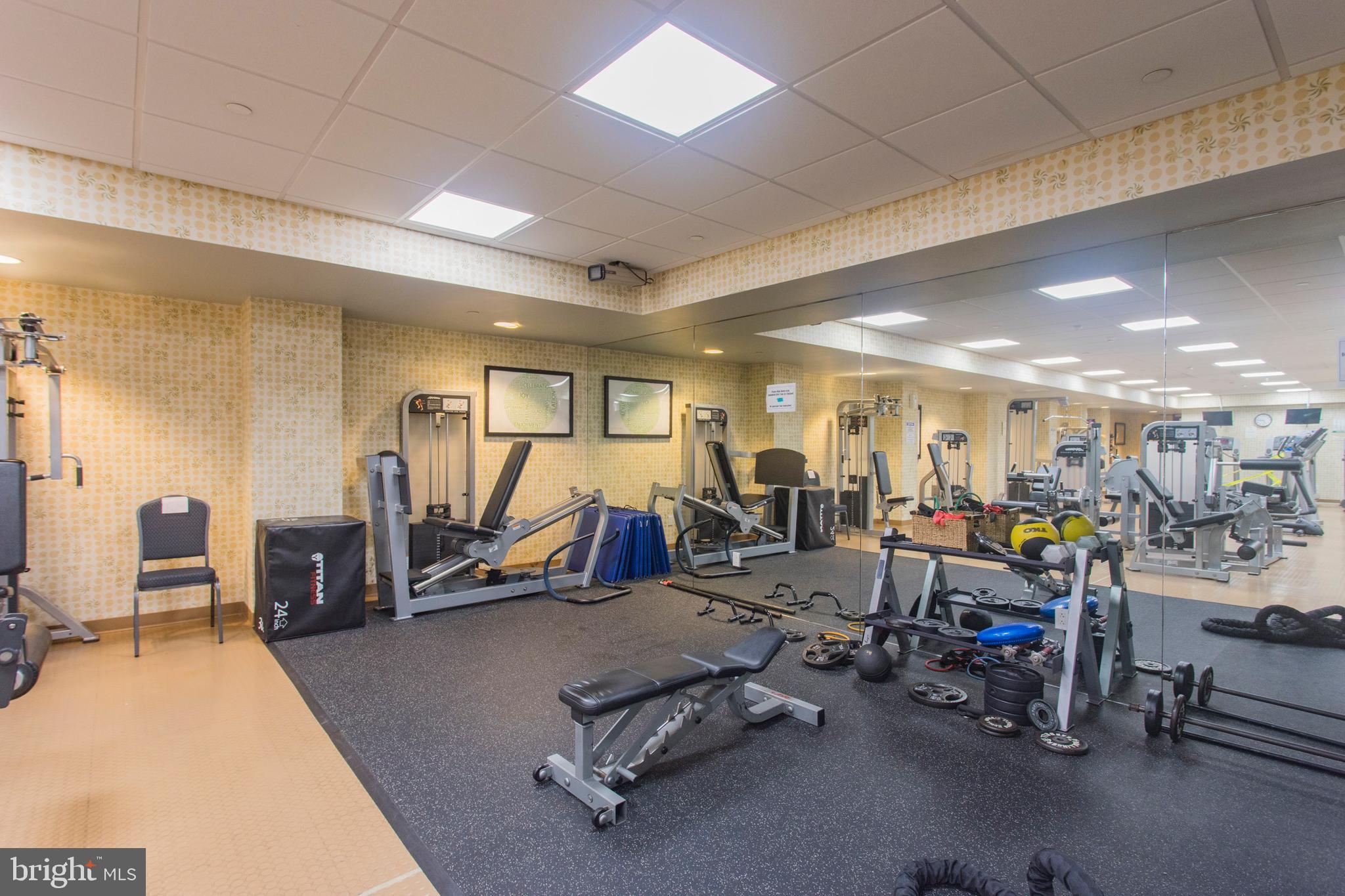 ART MUSEUM AREA - Residential Lease