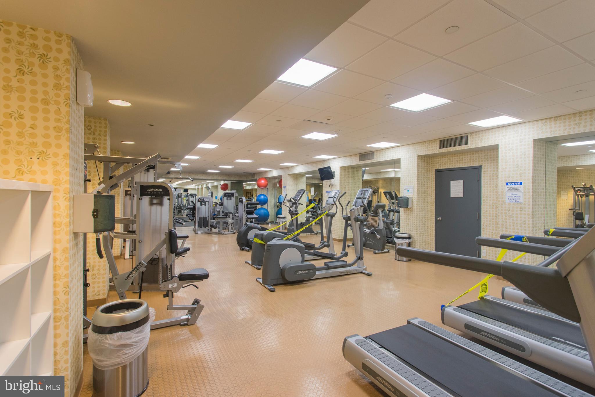 ART MUSEUM AREA - Residential Lease