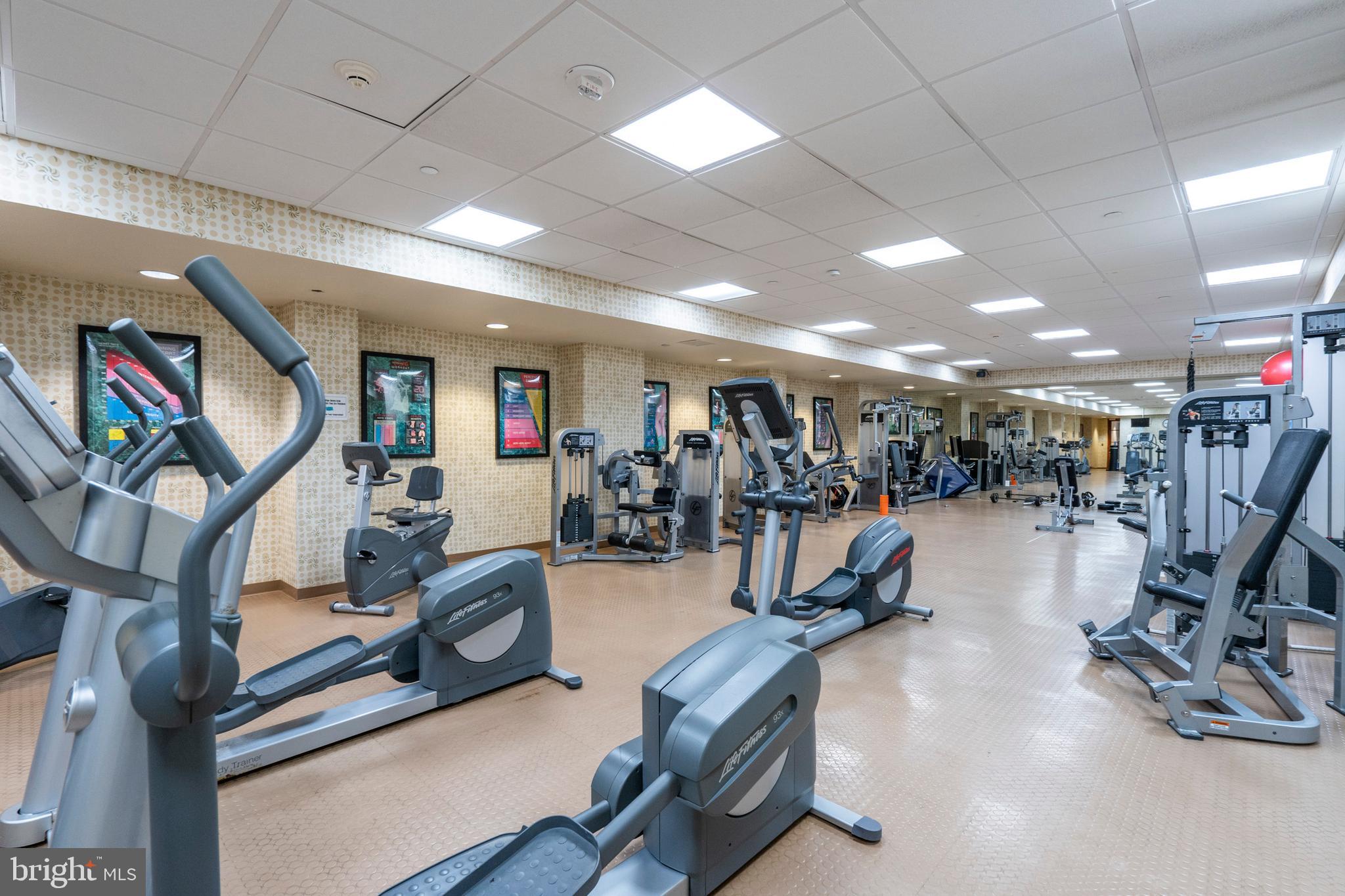 ART MUSEUM AREA - Residential Lease