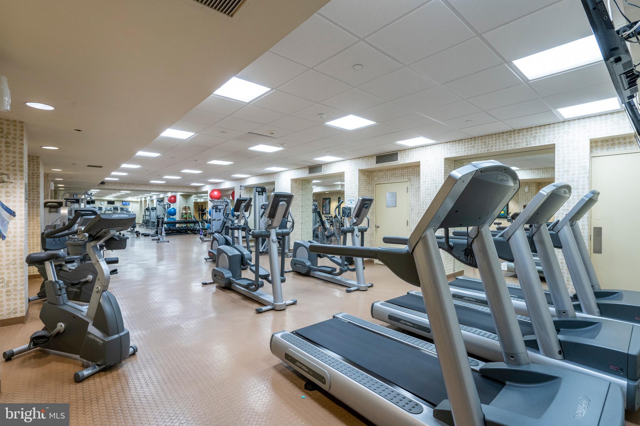 ART MUSEUM AREA - Residential Lease