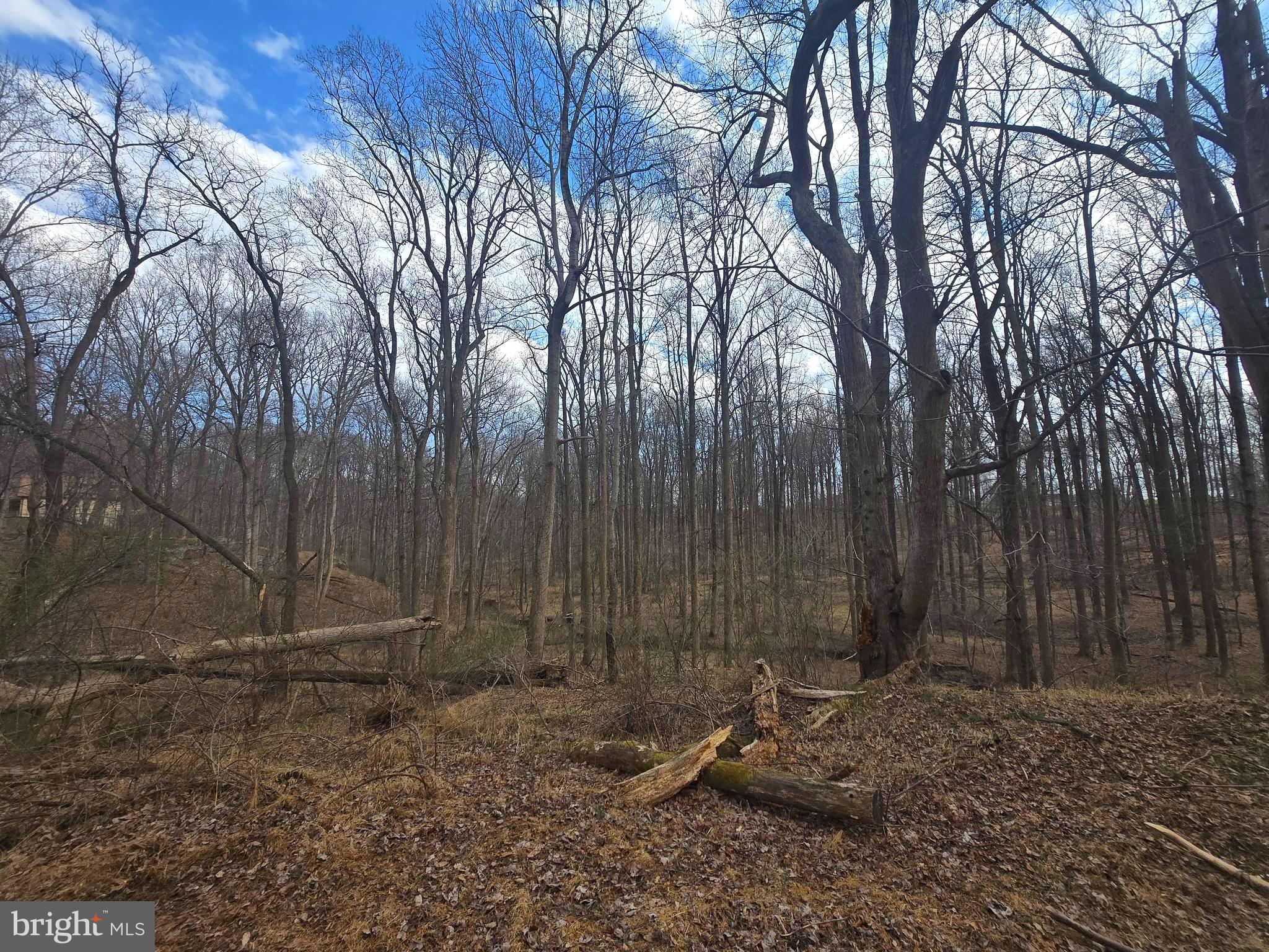 1156 DAY ROAD