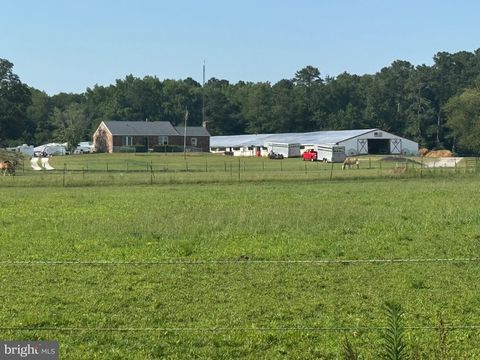 33096 JOHNSON ROAD SALISBURY MD 21804