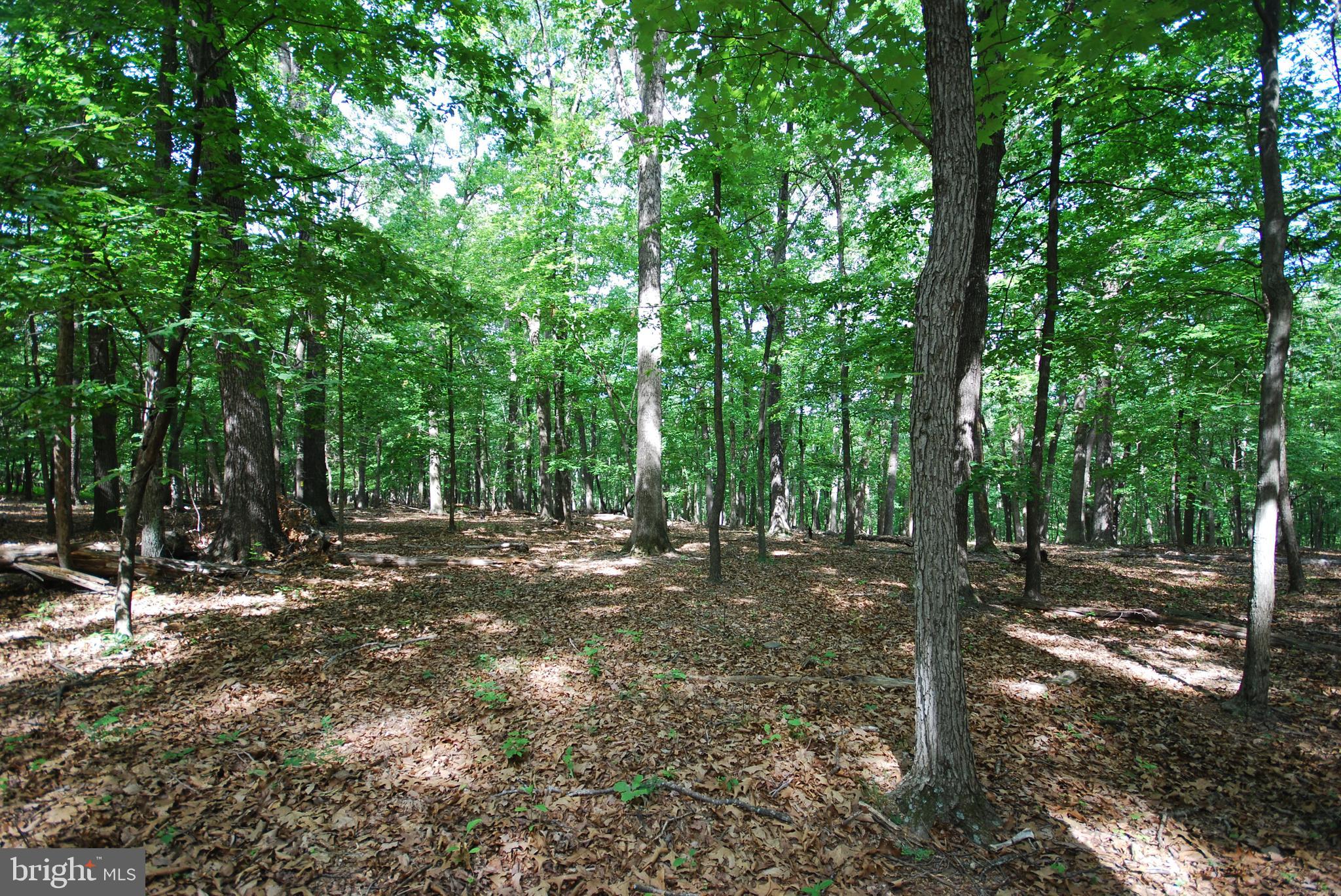 Lot 67 MILL MOUNTAIN ROAD