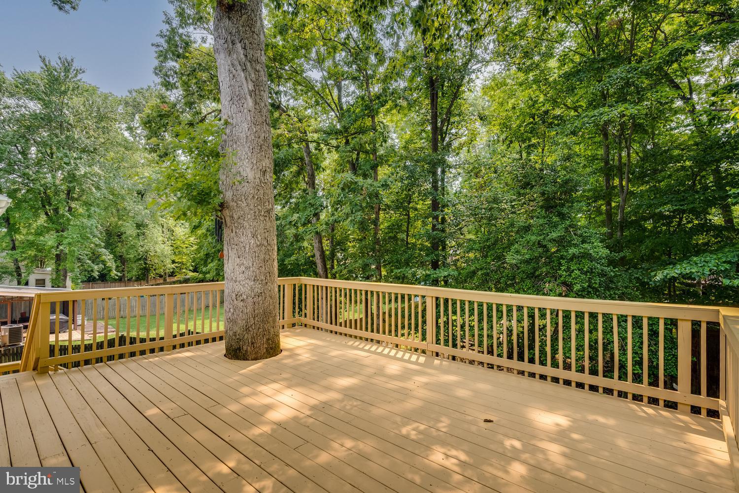8010 CANDLEWOOD DRIVE