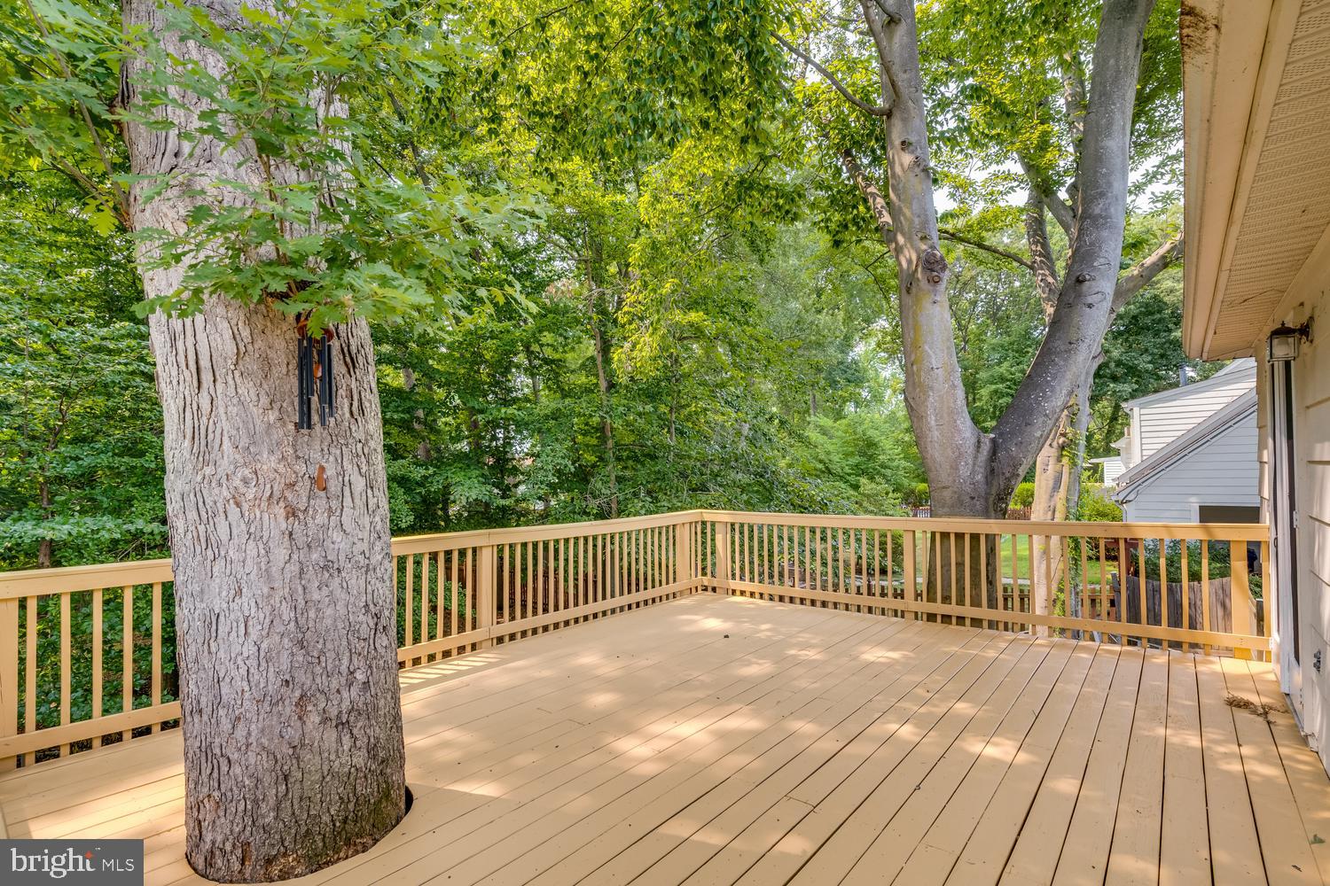 8010 CANDLEWOOD DRIVE
