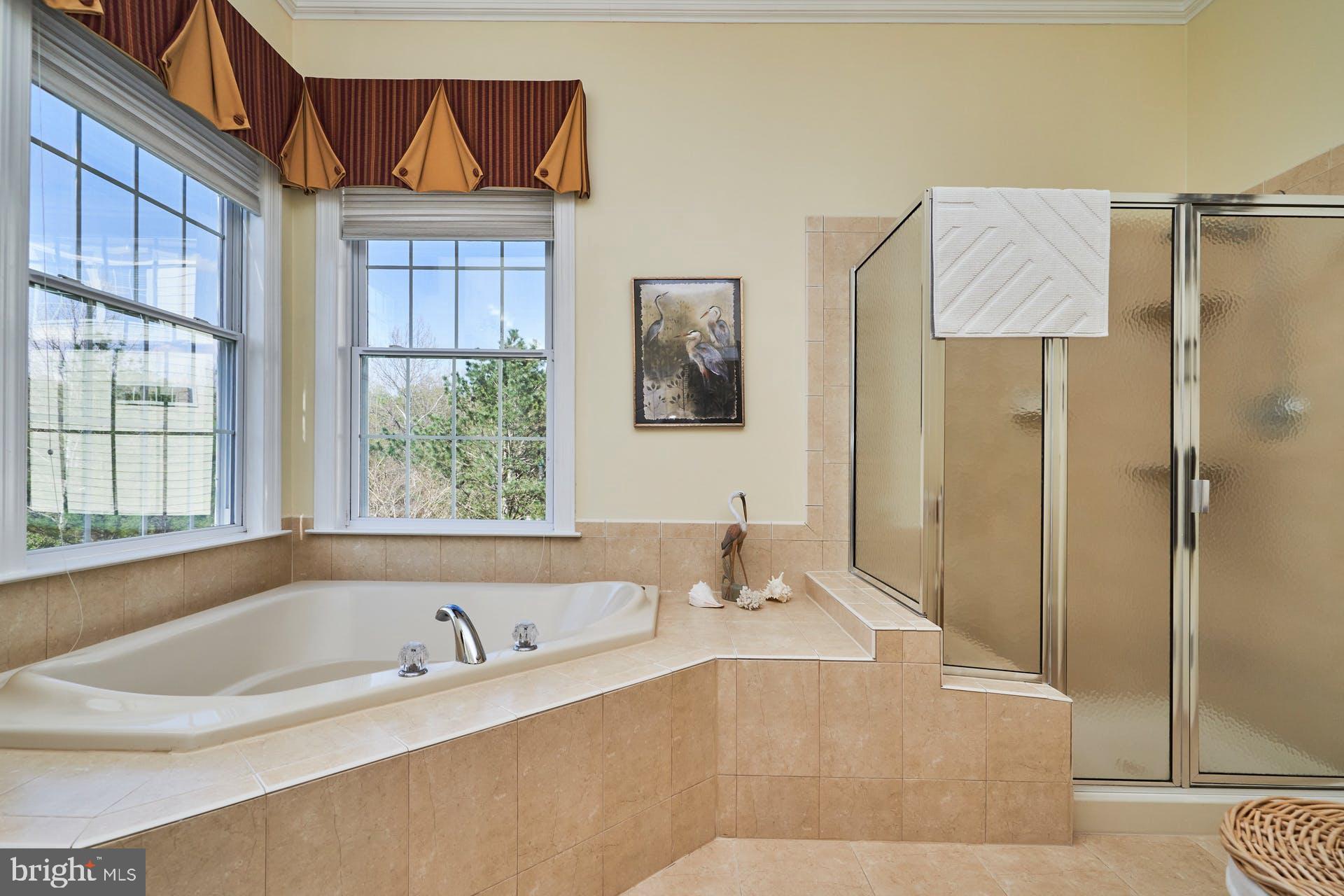 REGENCY AT DOMINION VALLEY - Residential