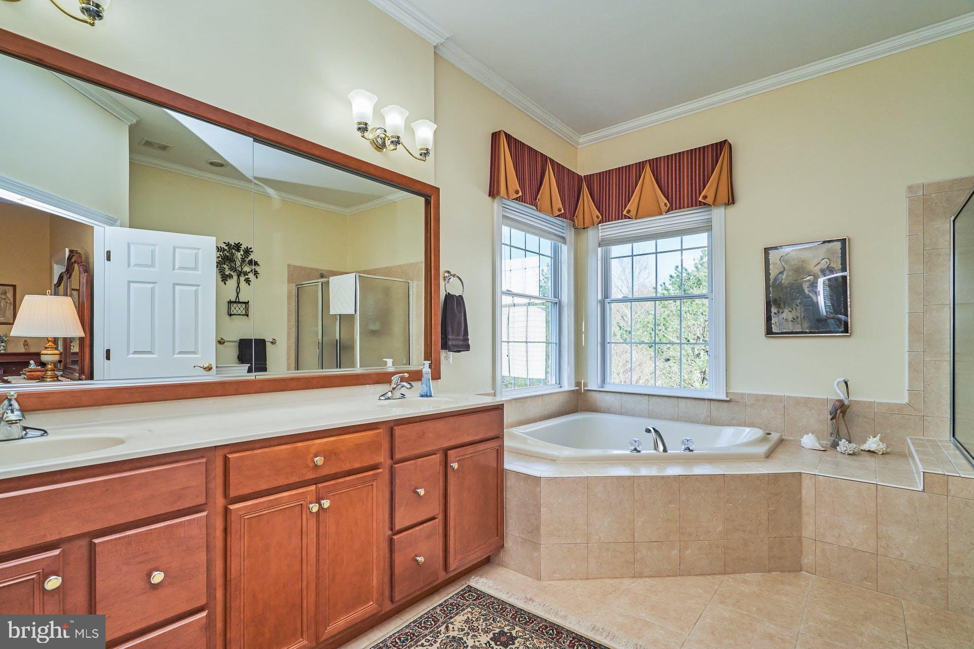 REGENCY AT DOMINION VALLEY - Residential