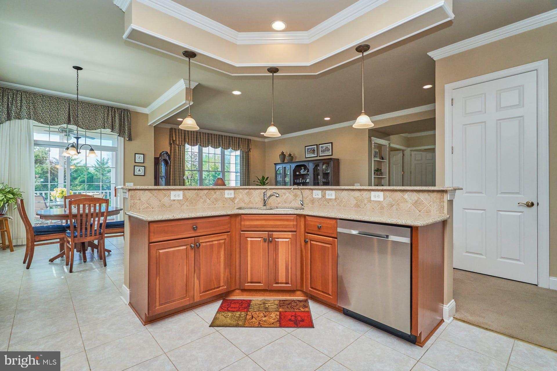 REGENCY AT DOMINION VALLEY - Residential