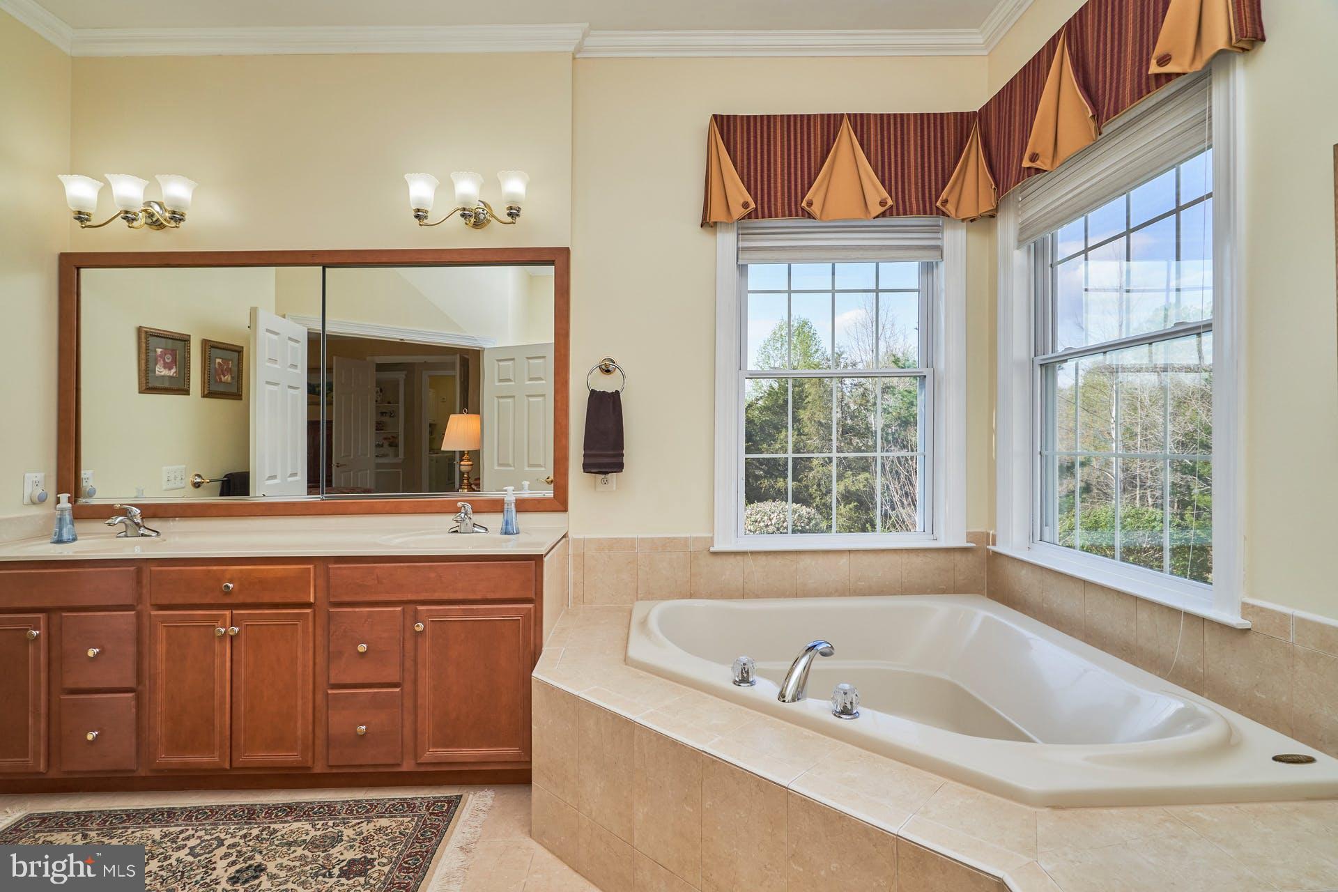 REGENCY AT DOMINION VALLEY - Residential