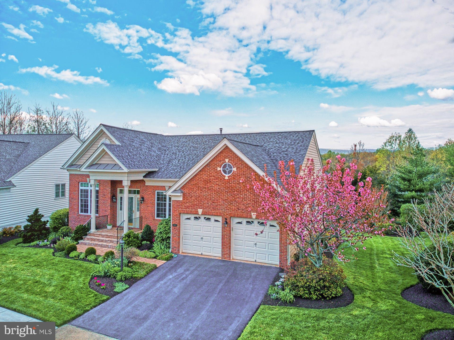 REGENCY AT DOMINION VALLEY - Residential