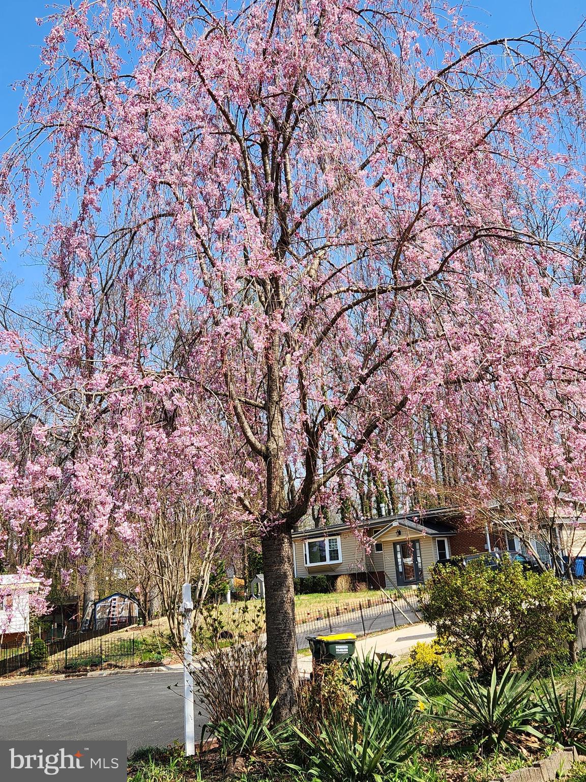 RAVENSDALE - Residential