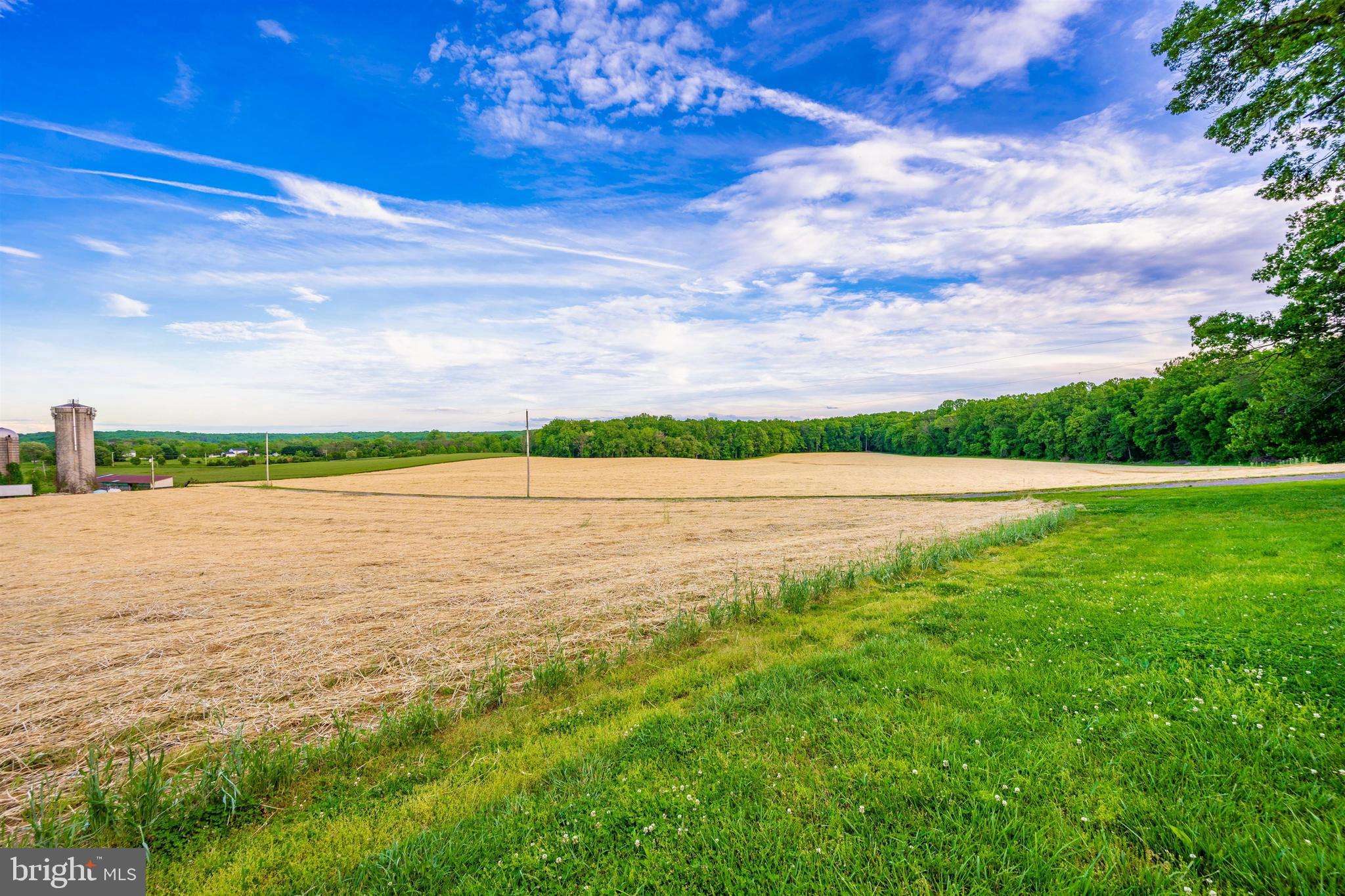 NONE AVAILABLE - Farm