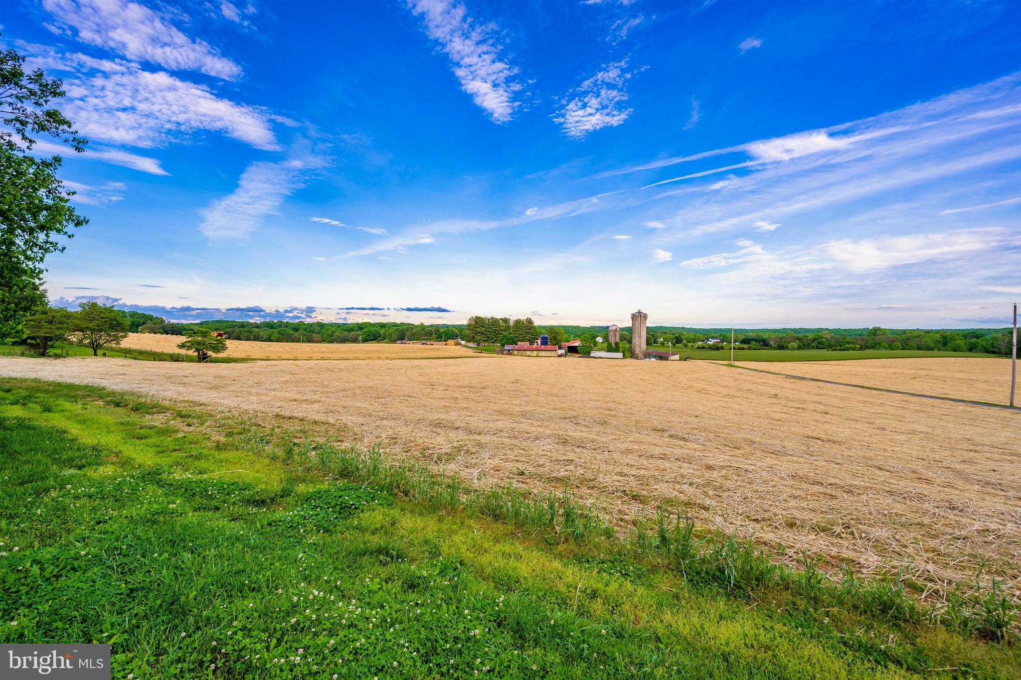 NONE AVAILABLE - Farm