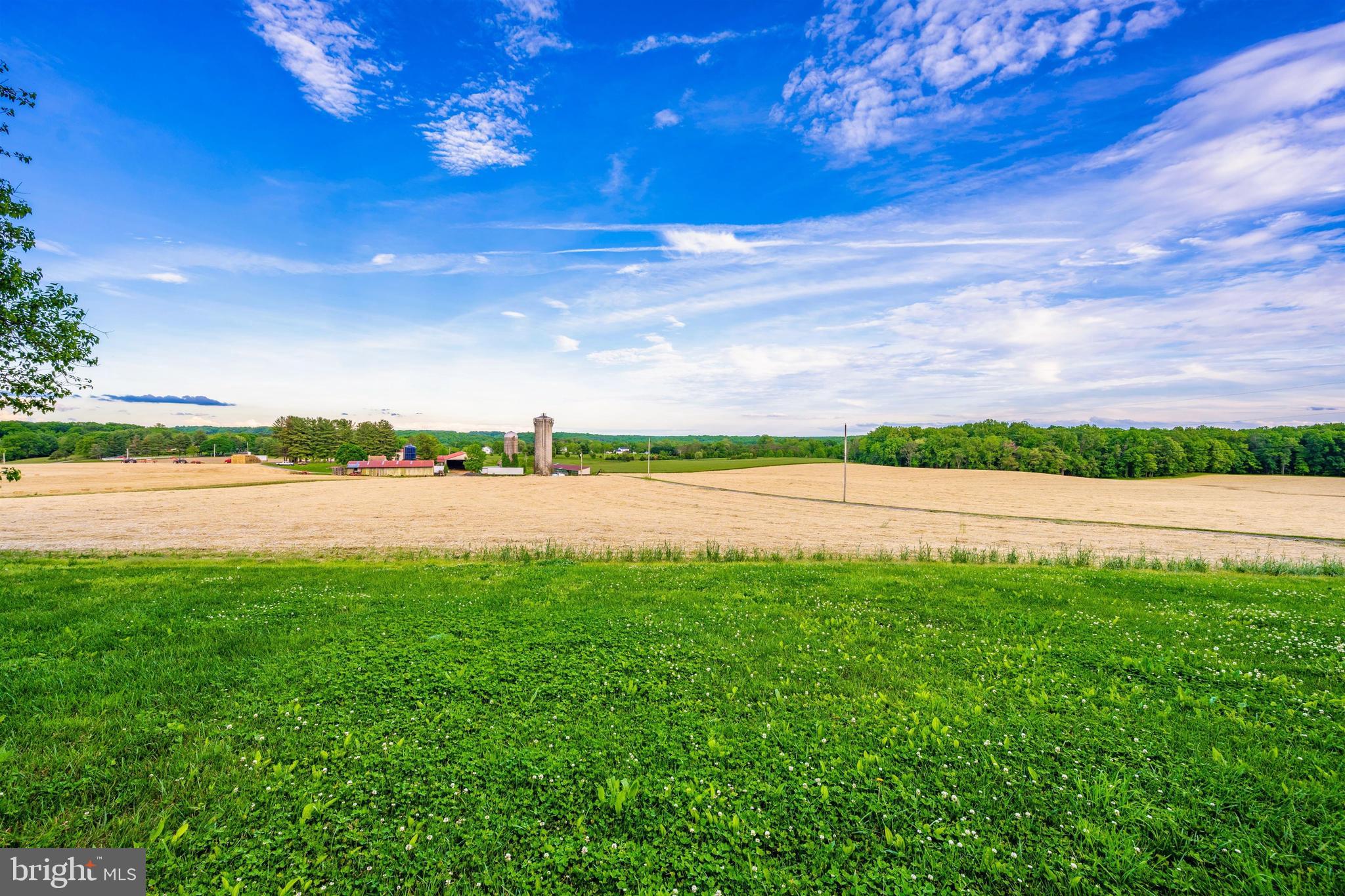 NONE AVAILABLE - Farm