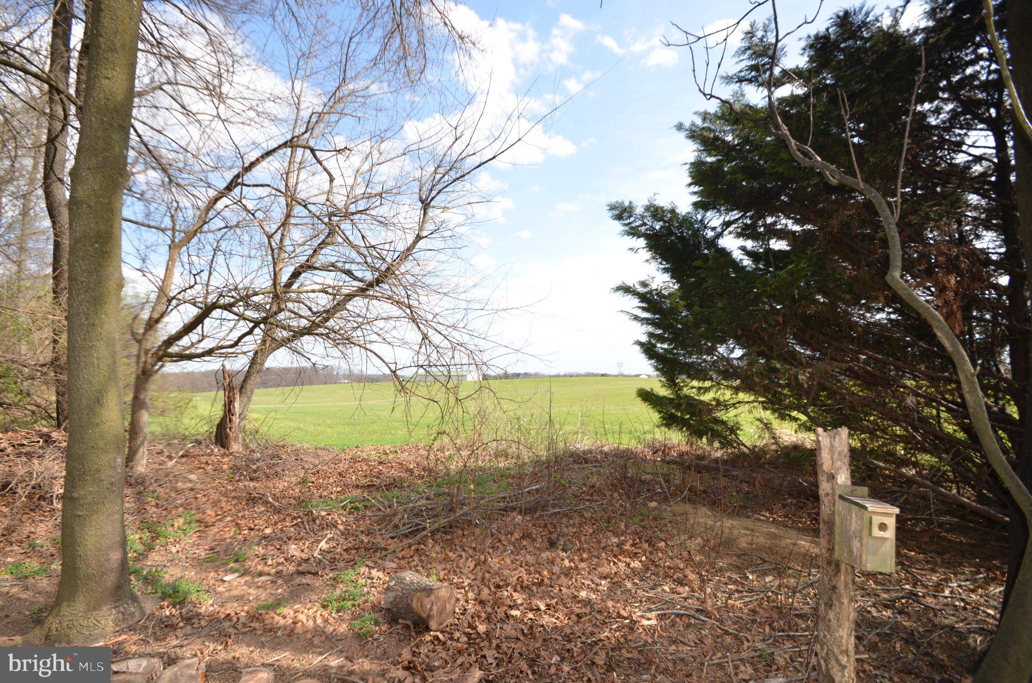 SOUTH CARROLL ESTATES - Residential