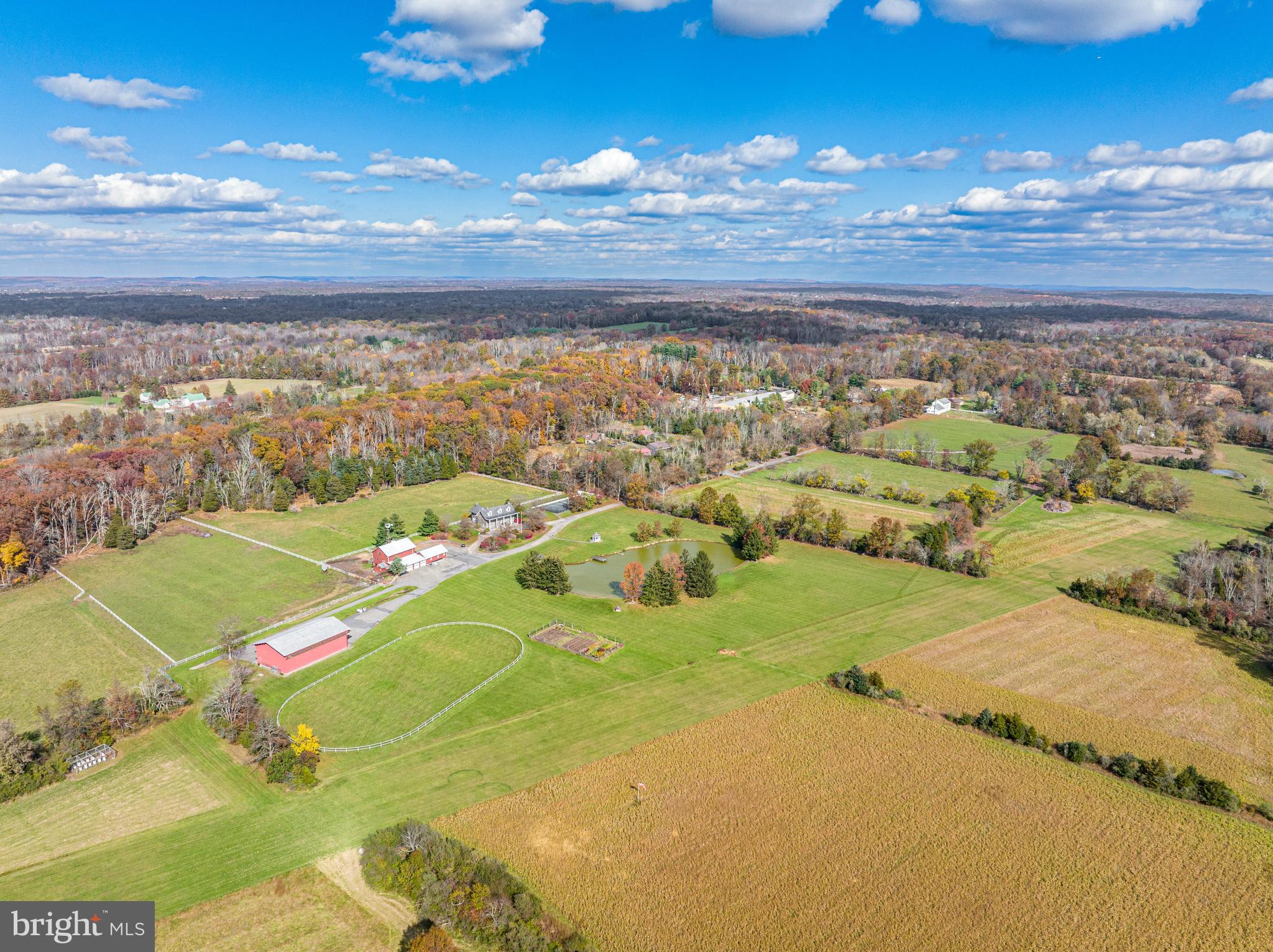 259 COUNTY ROAD 519