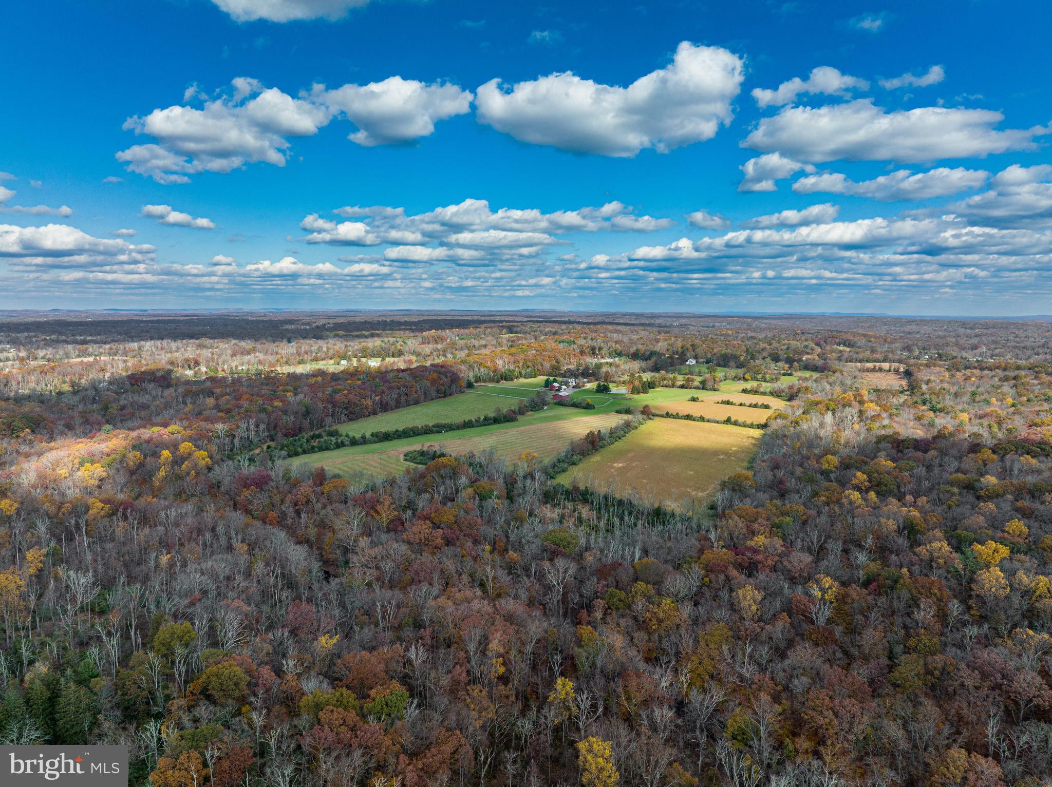259 COUNTY ROAD 519