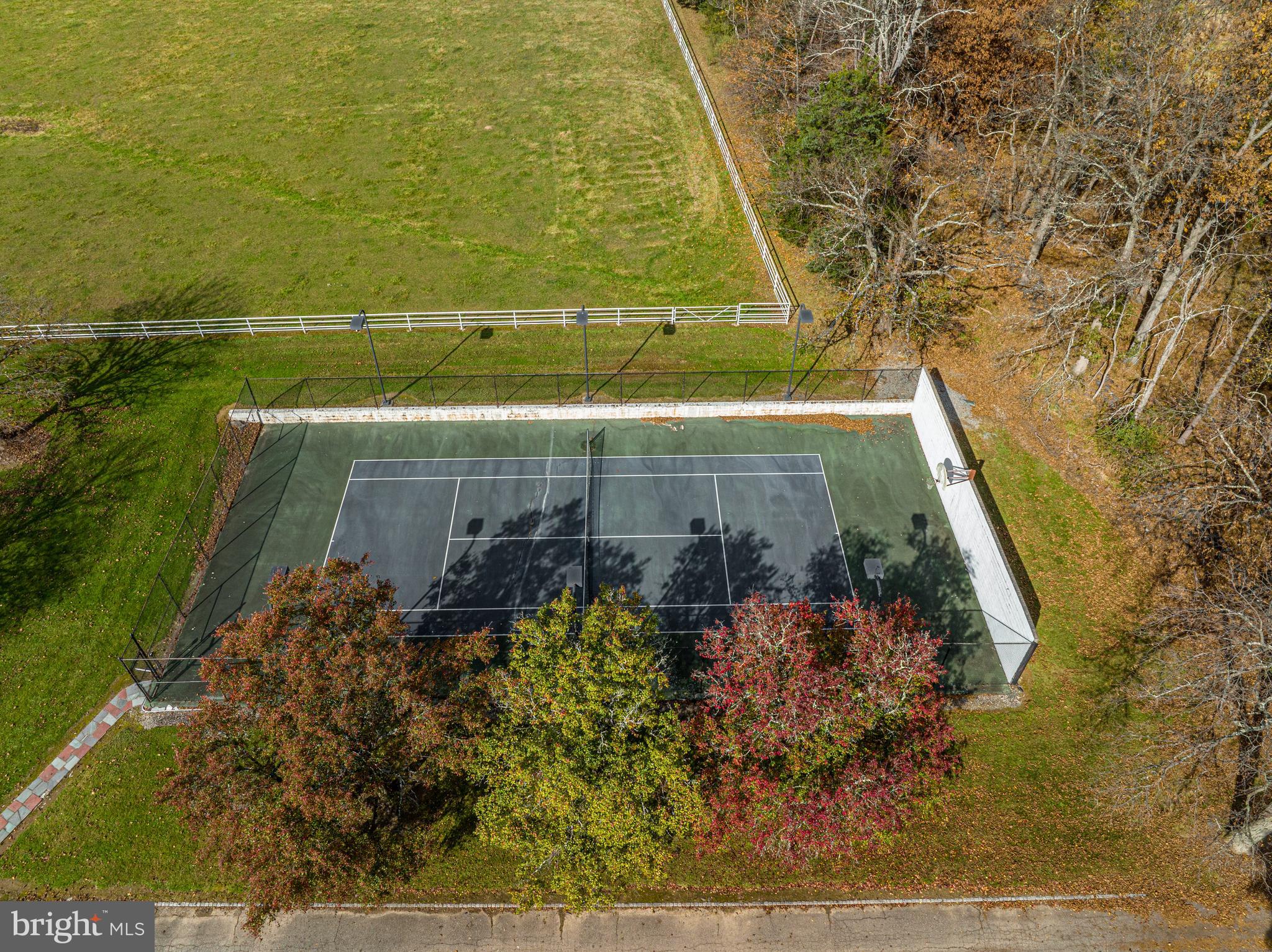 259 COUNTY ROAD 519