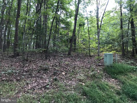 Vacant Land For Sale - Mallard Drive<br/> MOUNT JACKSON, VA 22842