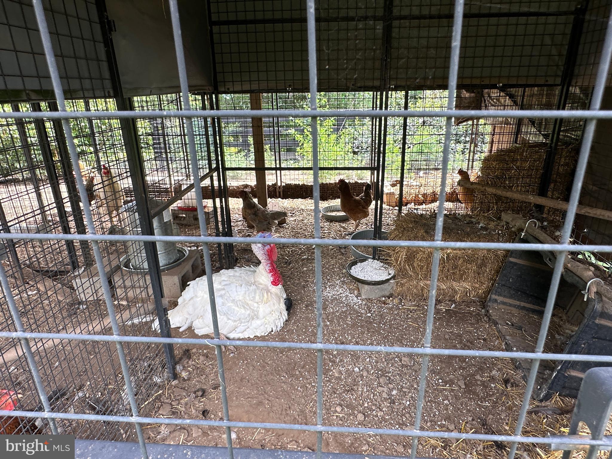 ASHTON WOODS - Residential