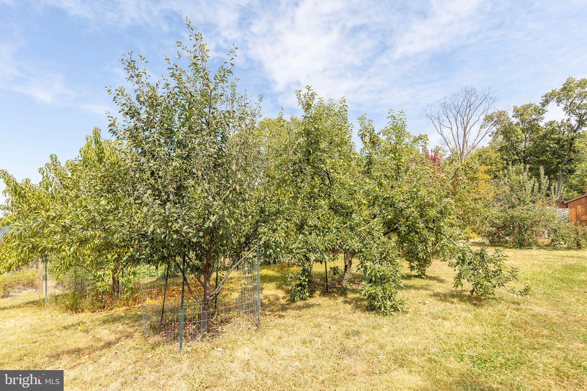 ASHTON WOODS - Residential