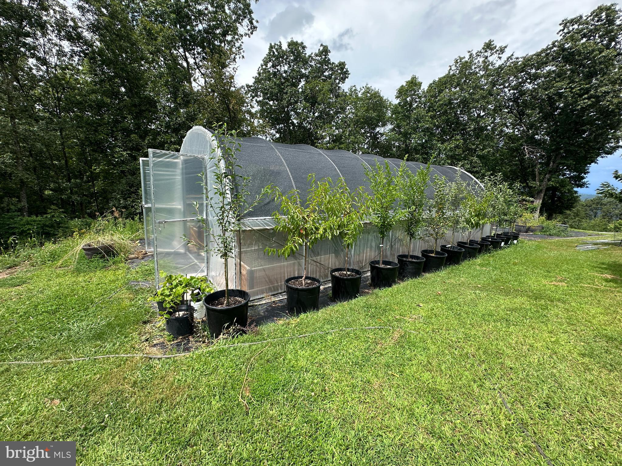 ASHTON WOODS - Residential