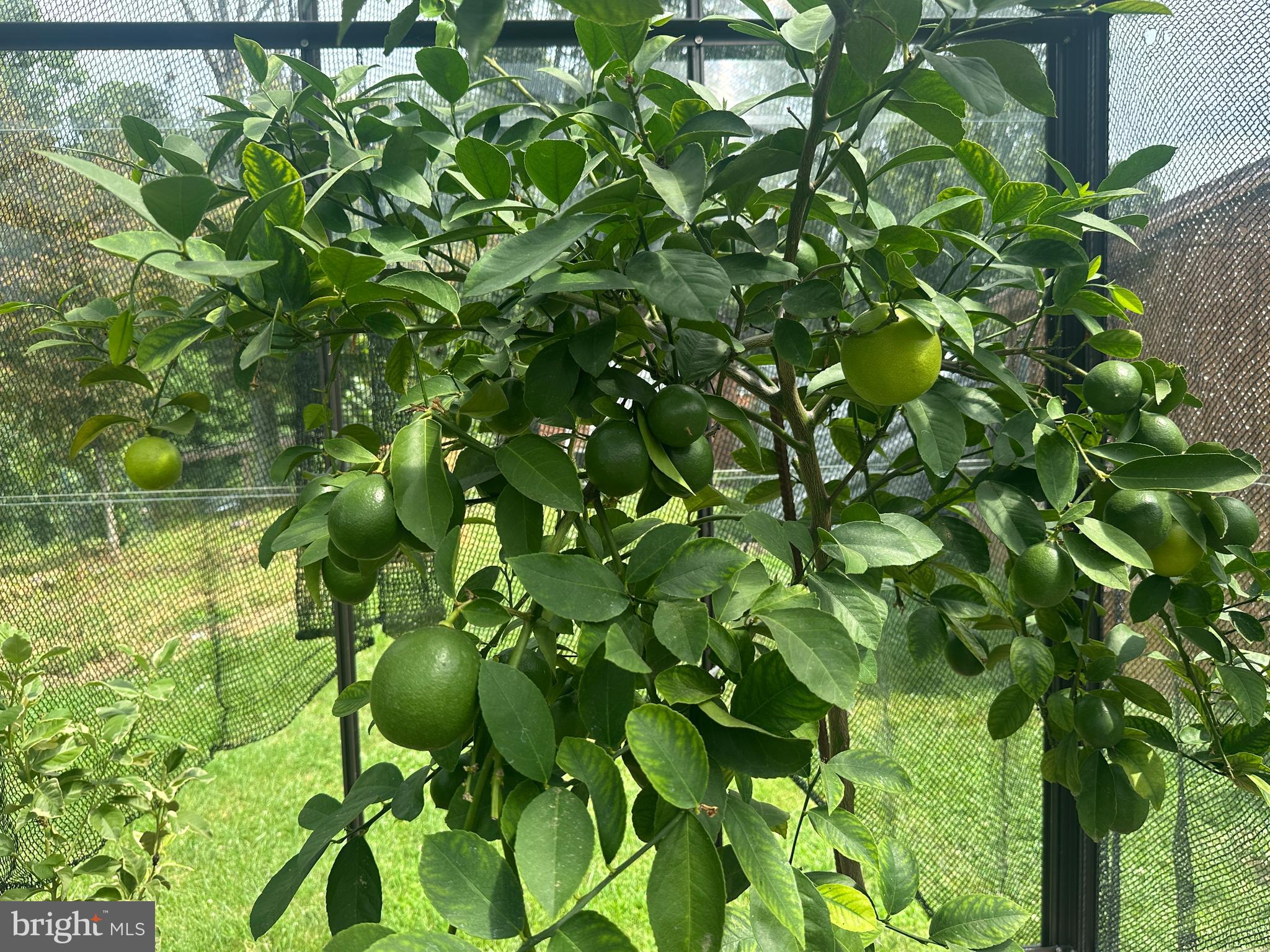 ASHTON WOODS - Residential