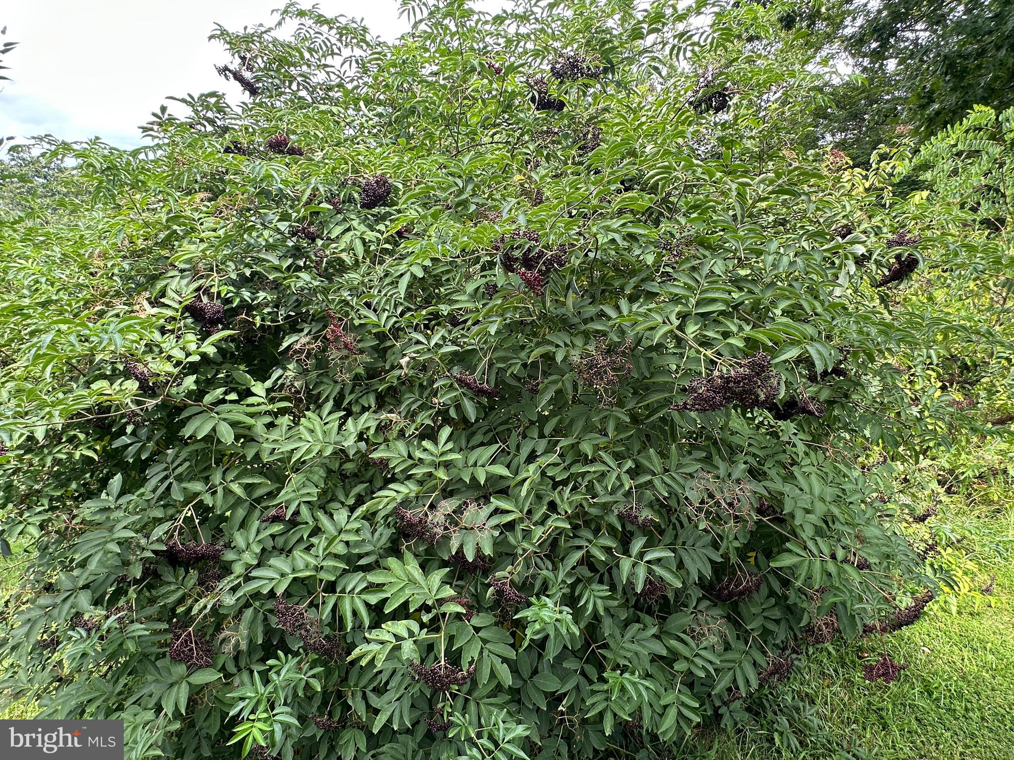 ASHTON WOODS - Residential