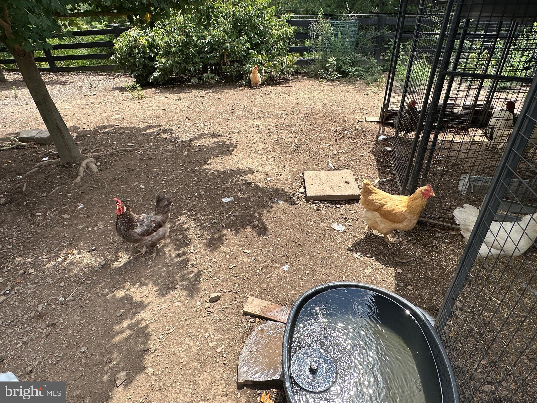 ASHTON WOODS - Residential