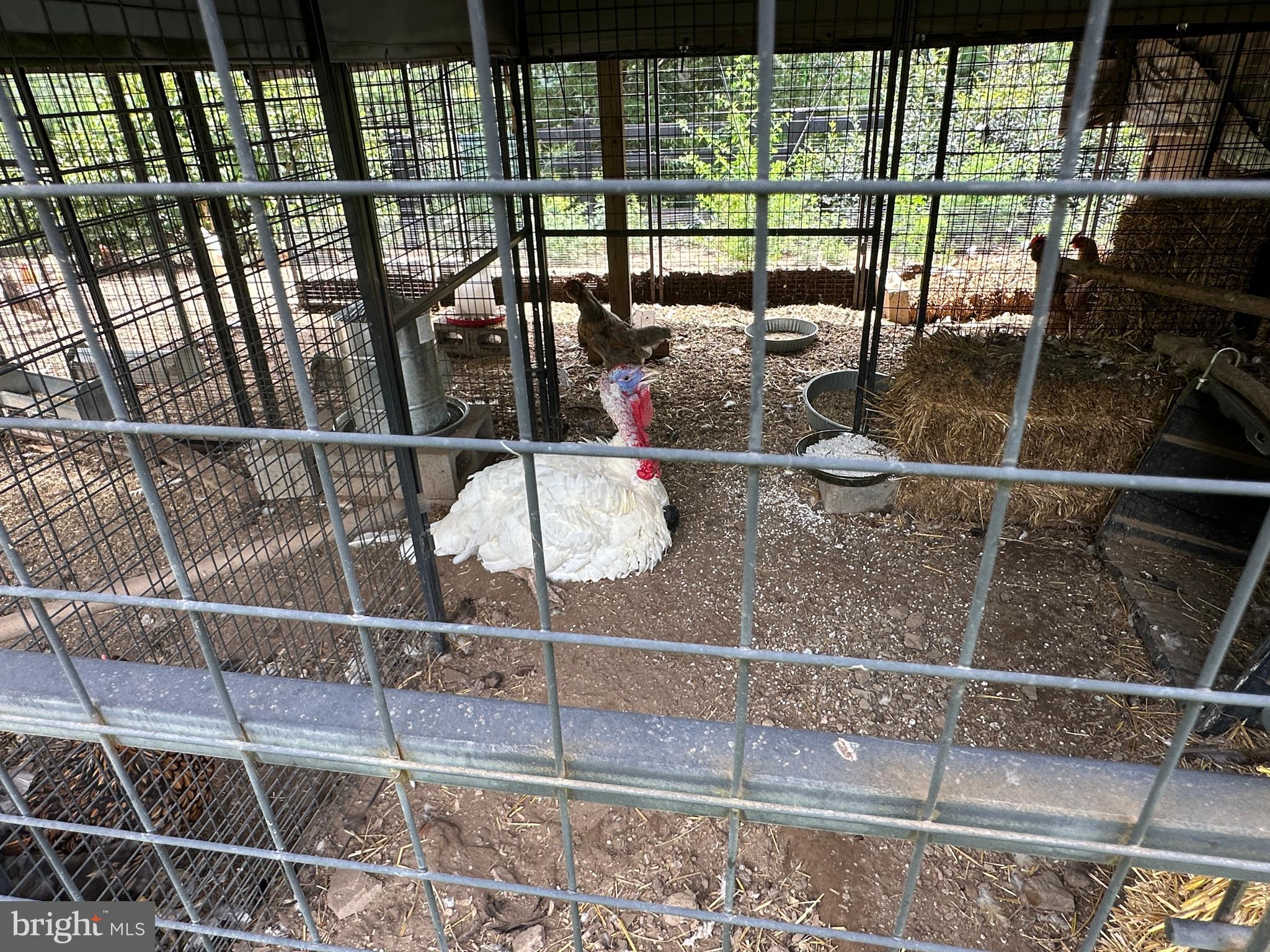 ASHTON WOODS - Residential