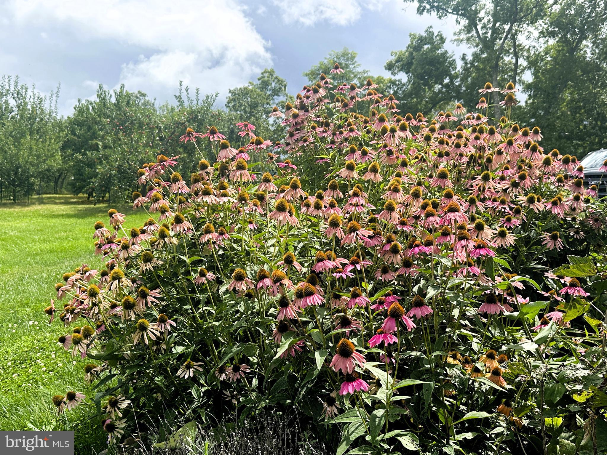 ASHTON WOODS - Residential