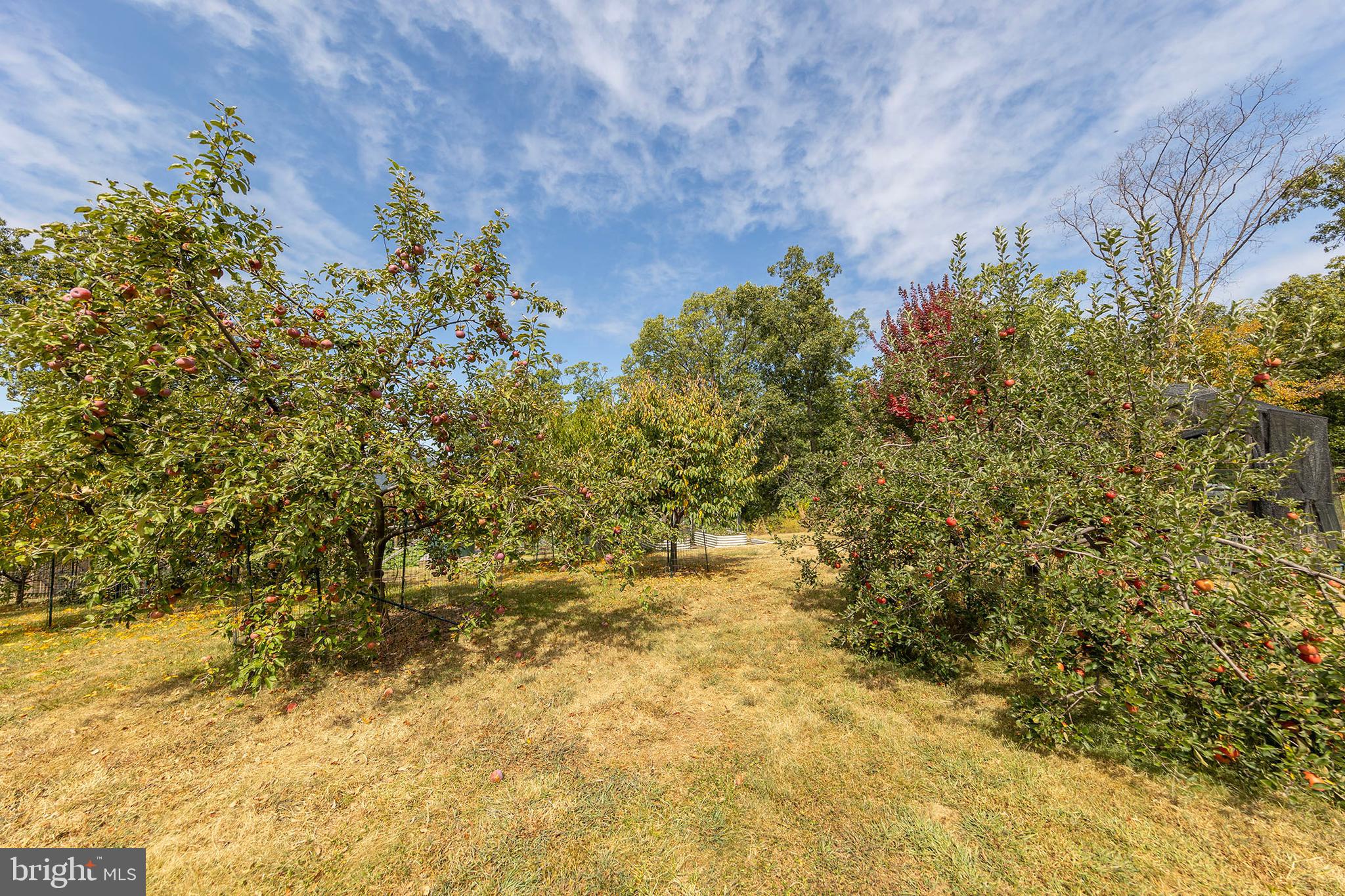 ASHTON WOODS - Residential