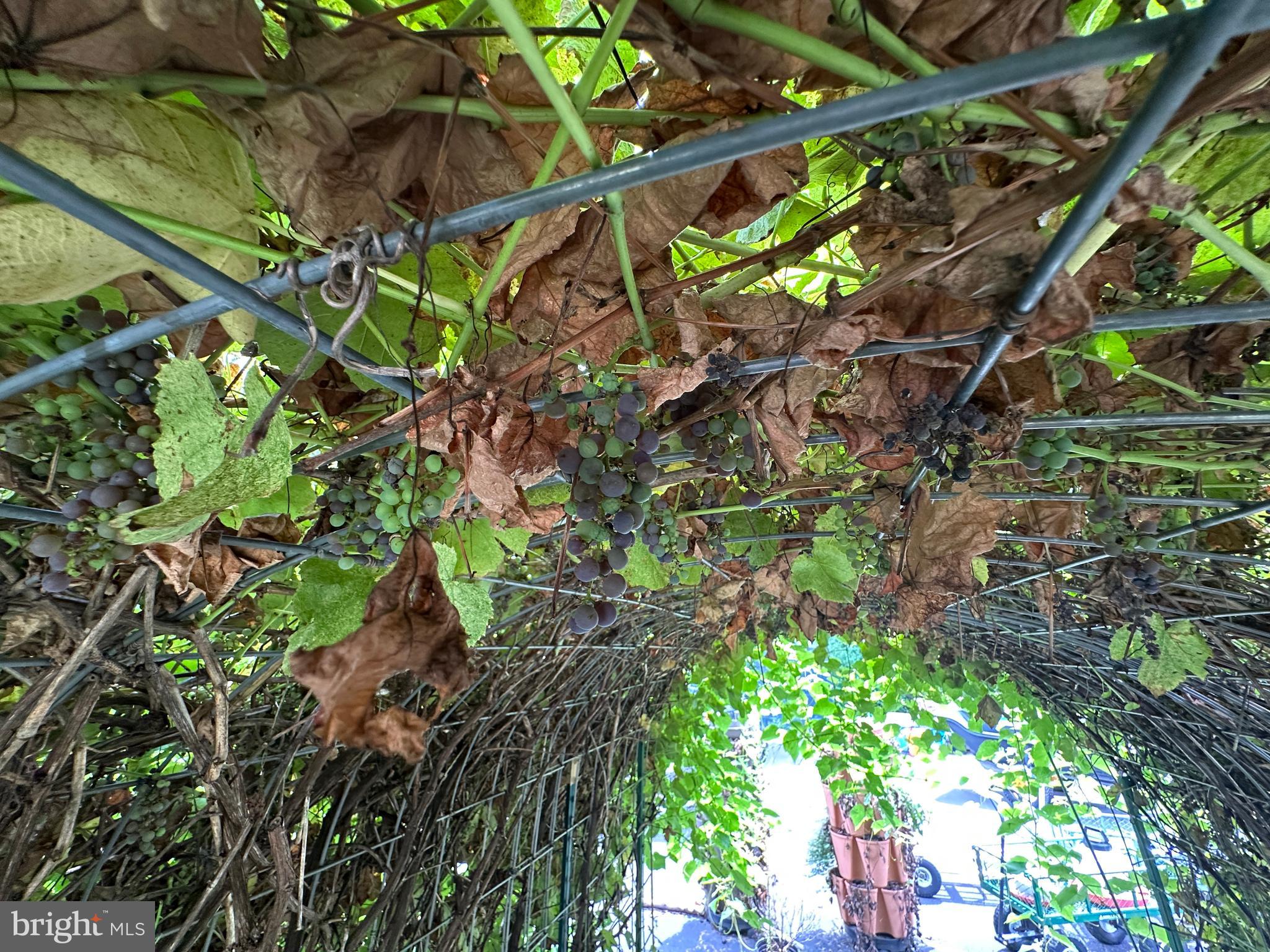 ASHTON WOODS - Residential